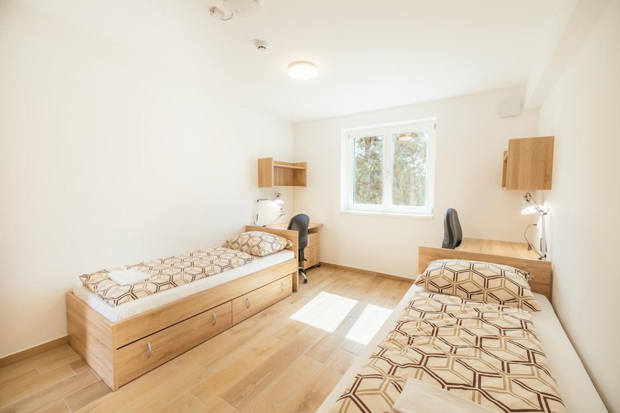 Prenocisca Prisoje Hostel Koper Ngoại thất bức ảnh